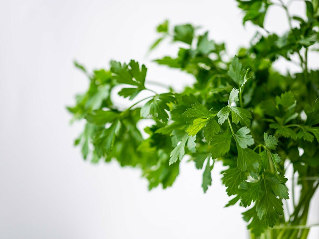 Tofu süßsauer: Beilagen, Variationen und Toppings Tofu süßsauer kannst du unter anderem mit Koriander variieren.