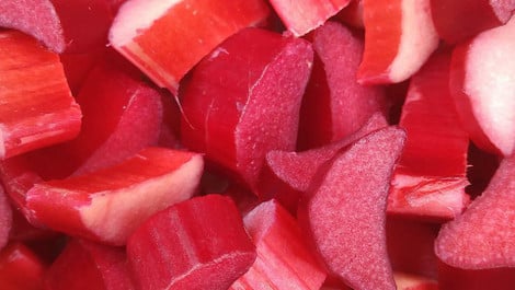 Rhabarbergelee kochen: Einfaches Rezept
