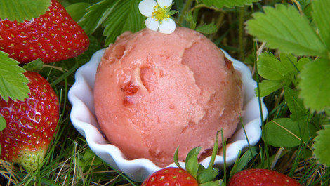 Veganes Erdbeereis mit Kokosmilch