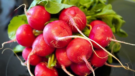 Radieschen fermentieren: So machst du sie haltbar